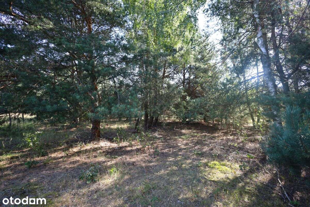 Budowlana, 1km od stacji Pkp, 40 min. od Warszawy-3