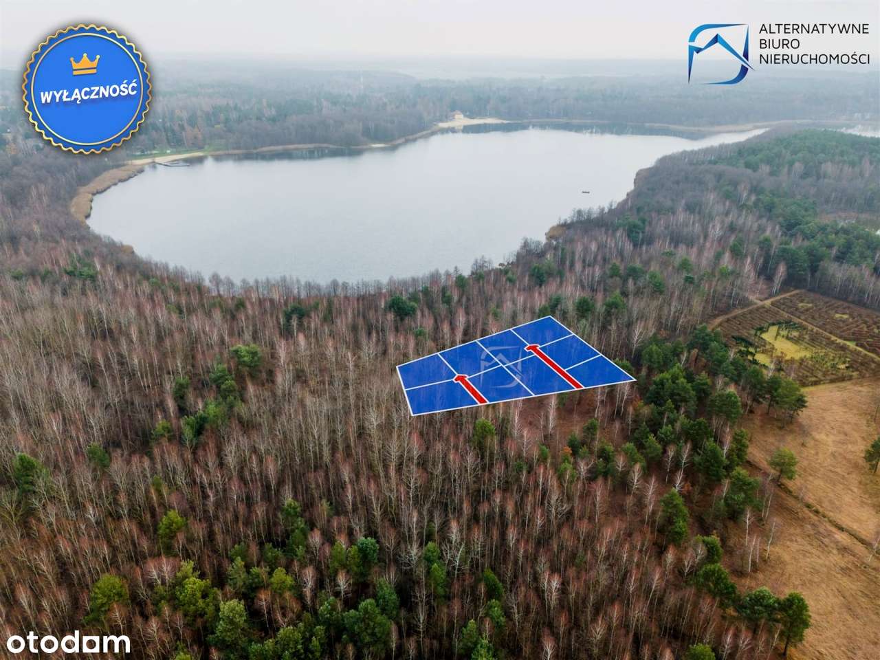Działki rekreacyjne - 40 metrów od jeziora Łukcze - Pełny obrazek: 5/6