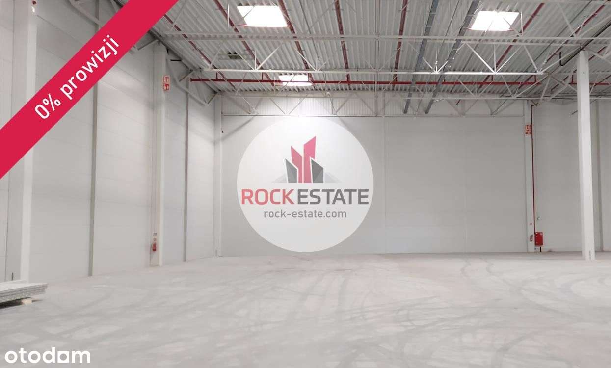 Magazyn na wynajem 4712 m2 Pruszków - 0% prow. - Pełny obrazek: 4/5