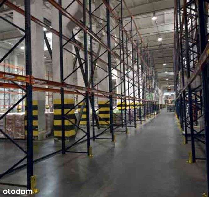 Hala/Magazyn, 30 000 m², Katowice - Pełny obrazek: 4/6