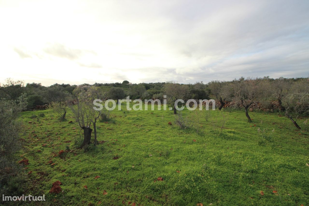 Terreno Rústico  Venda em São Bartolomeu de Messines,Silves