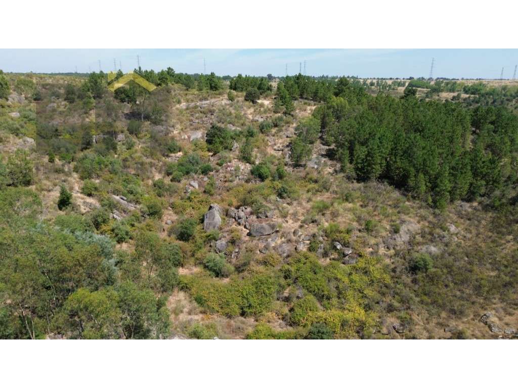 Terreno rústico com 4.750m2, para venda, na freguesia de Caféde. - Grande imagem: 5/7