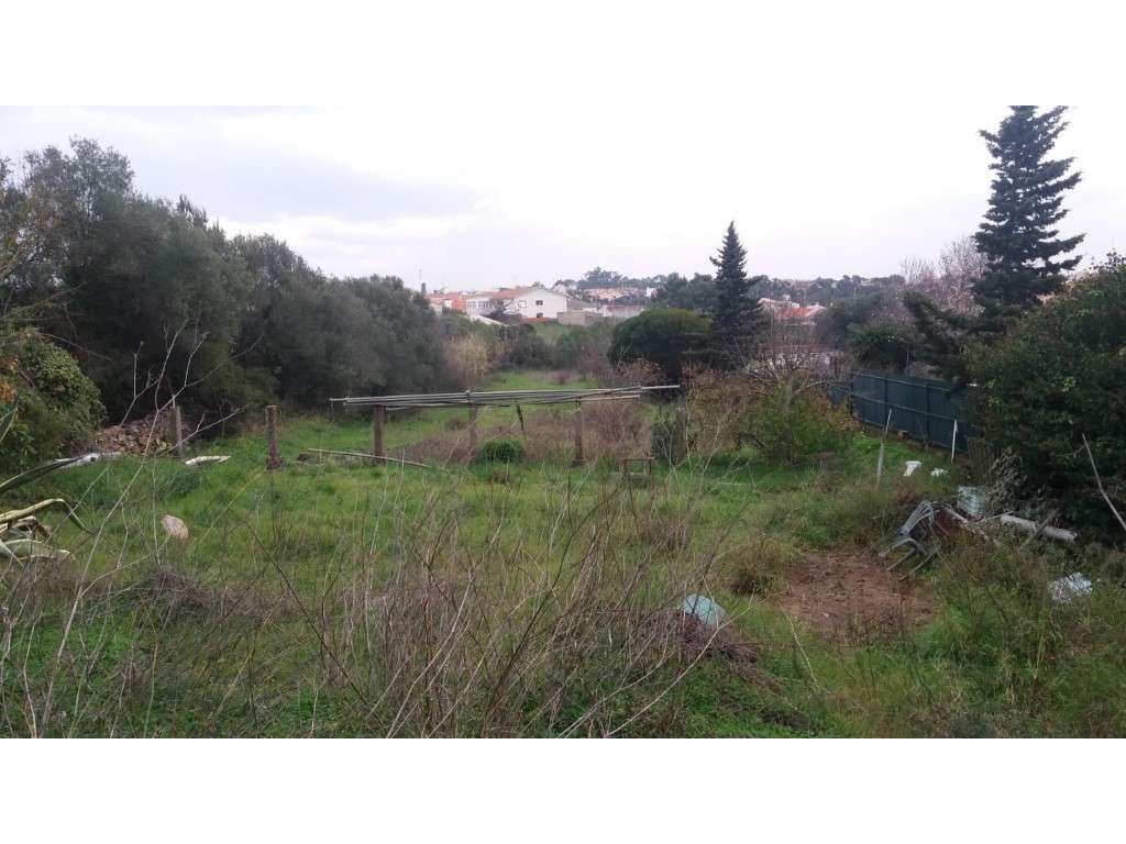 Terreno com 2040m² , Cascais, Manique-0