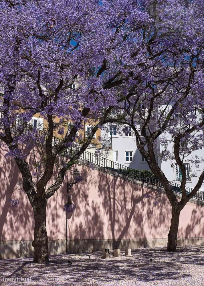 Apartamento T3 com AL na Baixa de Lisboa-2