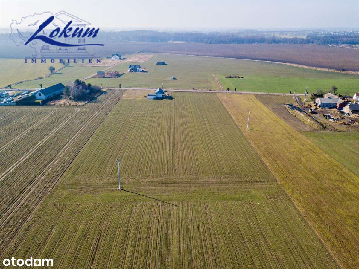 Wyciążkowo, piękna okolica - działka - Pełny obrazek: 5/8