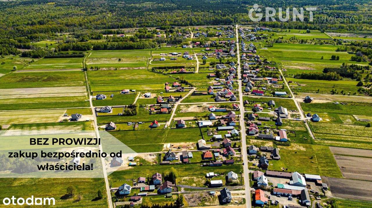 Pakiet działek pod lasem - Pełny obrazek: 2/10