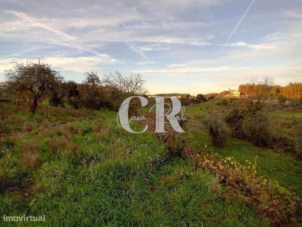 Moradia T3 com terreno pronta a habitar, logradouro e poço de água em-28