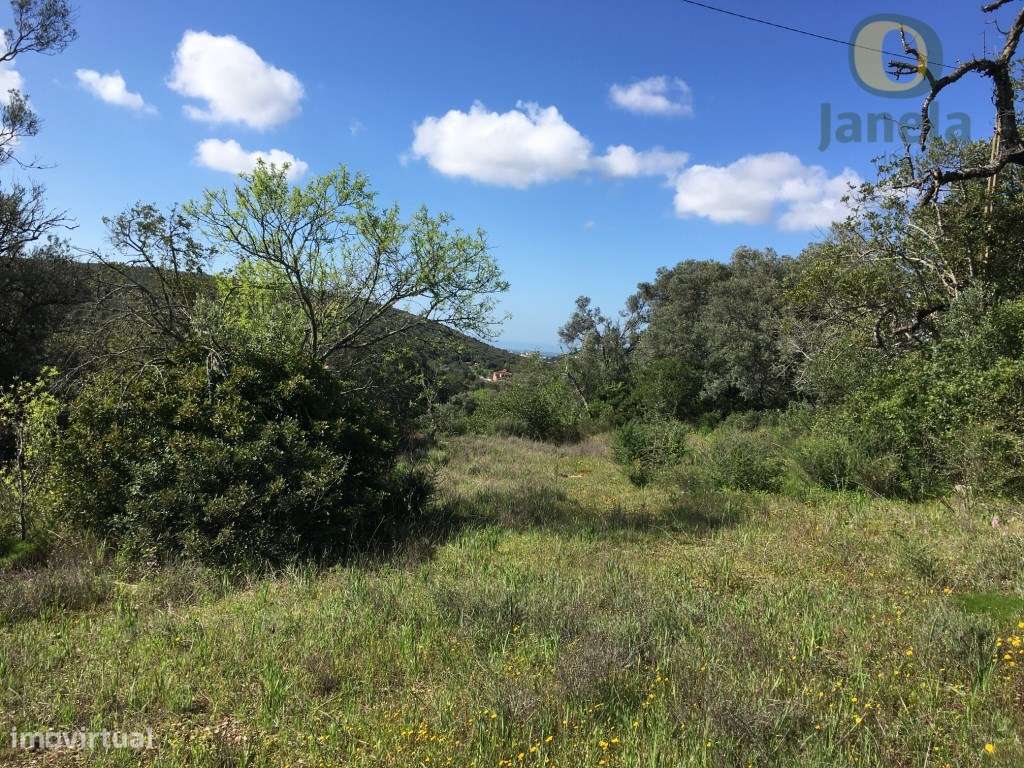 Loulé - Terreno com 9.800m2, permitindo a construção de uma moradia - Grande imagem: 5/5
