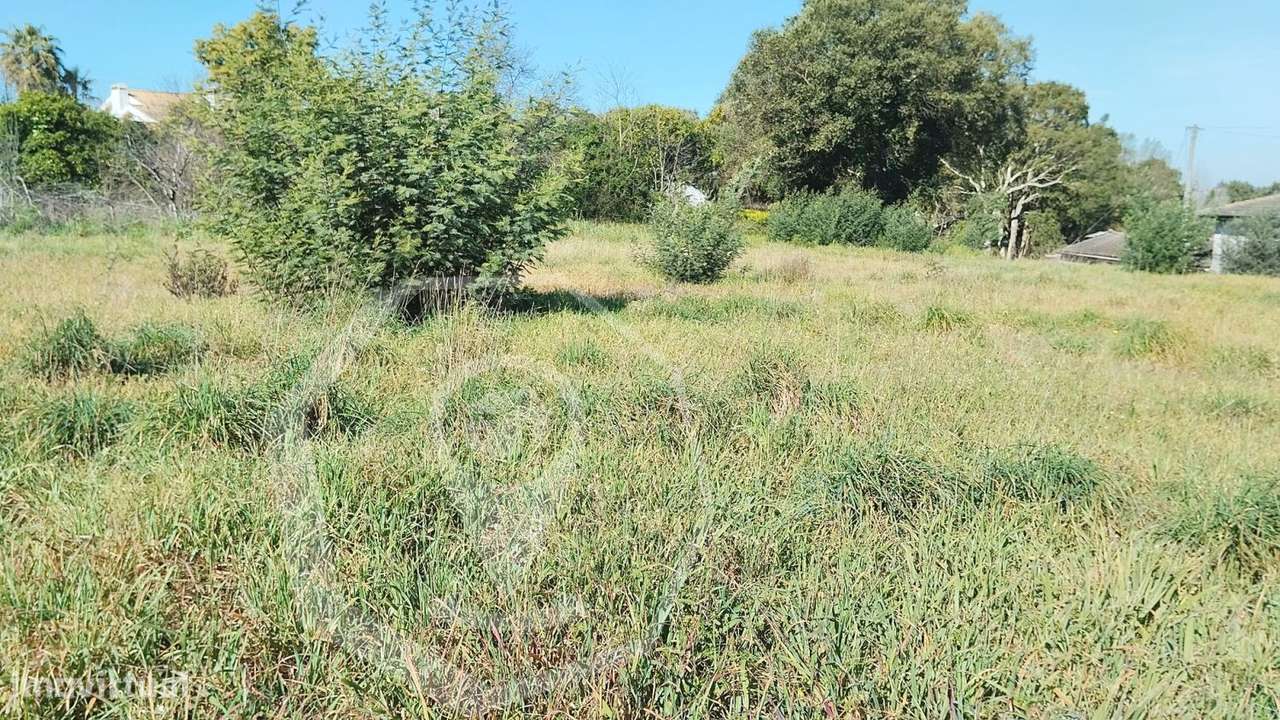 TERRENO OIA - Grande imagem: 2/2