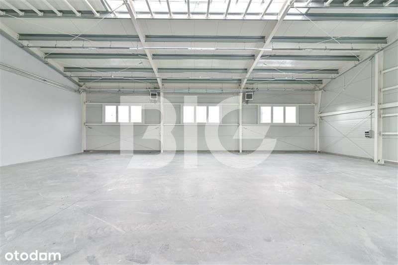 Magazyn, biuro. Dostępne od zaraz - Pełny obrazek: 5/11