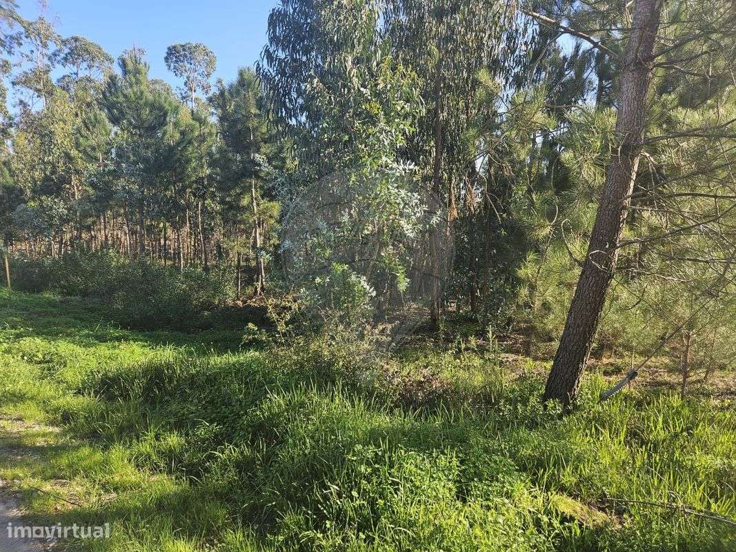 Terreno  para venda - Grande imagem: 4/8