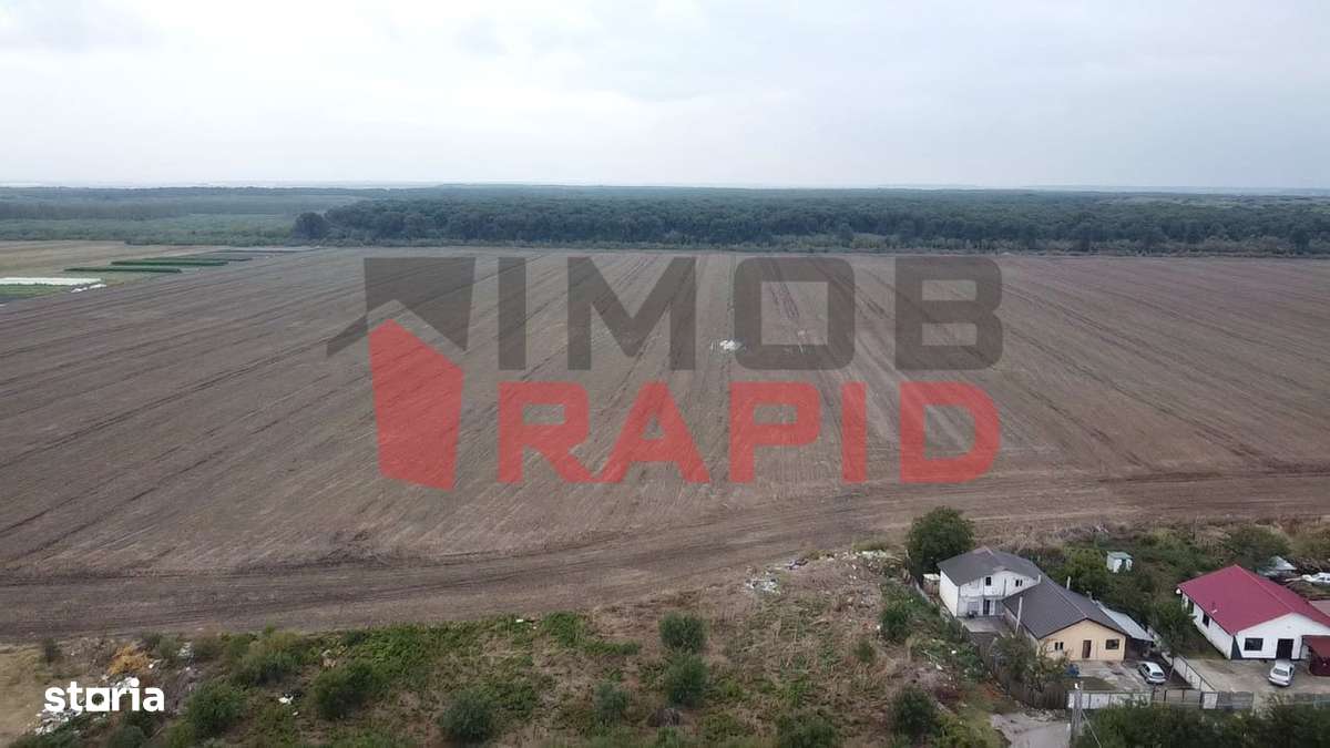 De vanzare 40.000 mp teren extravilan, arabil în Piteasca jud. Ilfov - Imagine principală: 3/8