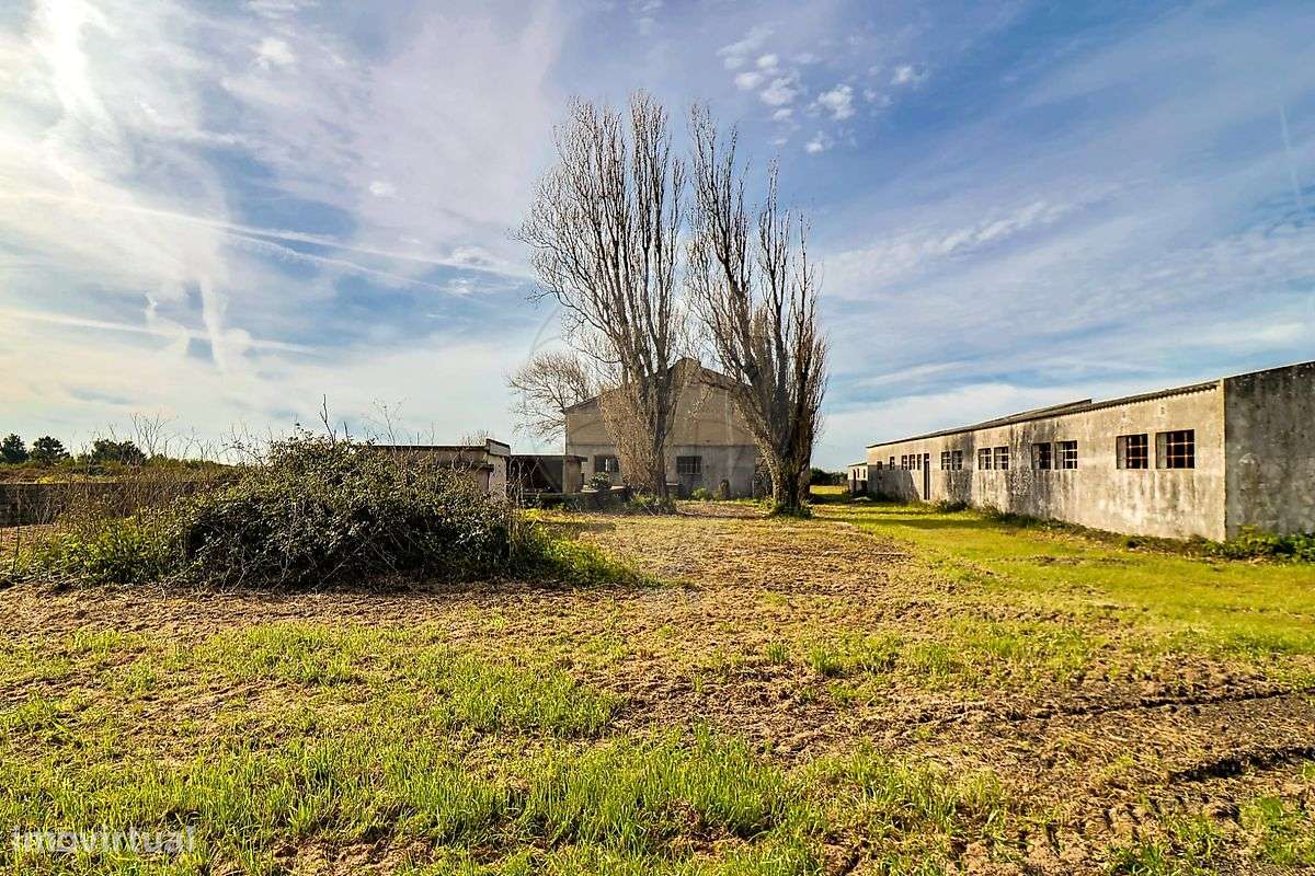 Armazém  para venda - Grande imagem: 5/50