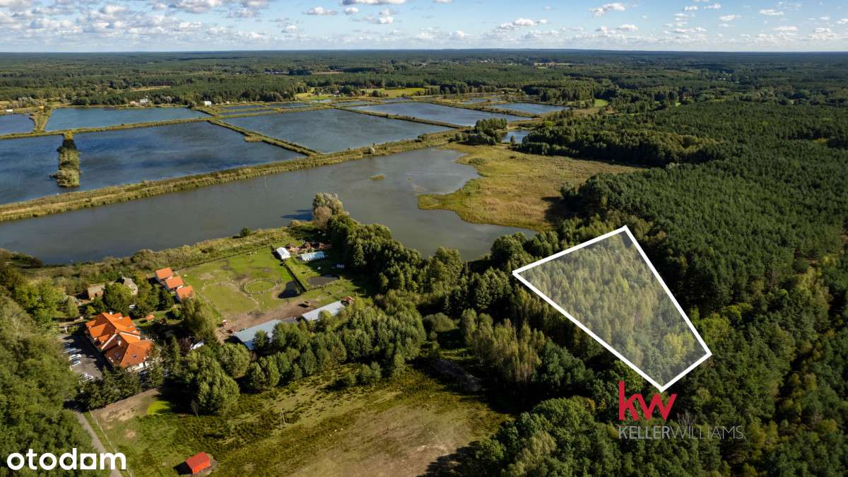 Działka rolna w enklawie leśnej Trzciel-Odbudowa. - Prikaz 2