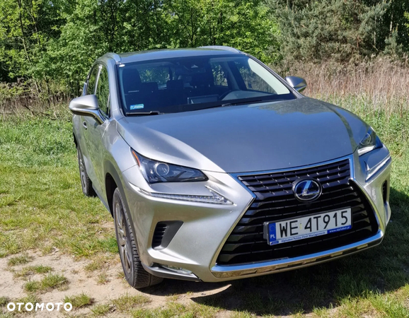 Lexus NX - 4