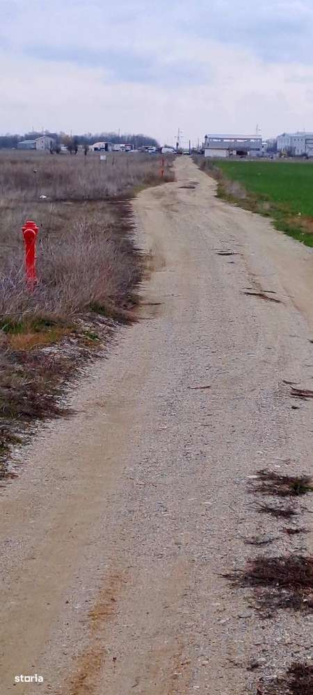 Intravilan Cârcea, 392 mp, pe lângă depozitul de legume-fructe - Imagine principală: 2/5