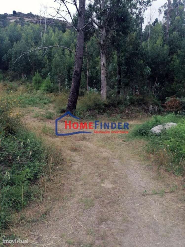 Terreno com aprox. 1.240 m2 - Monção - Grande imagem: 5/26