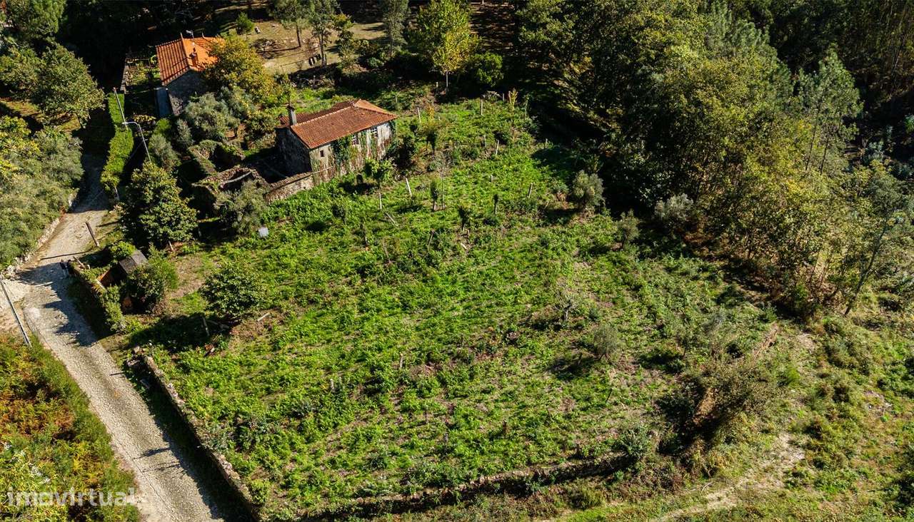 Quinta centenária em Real, Covas - Grande imagem: 5/27