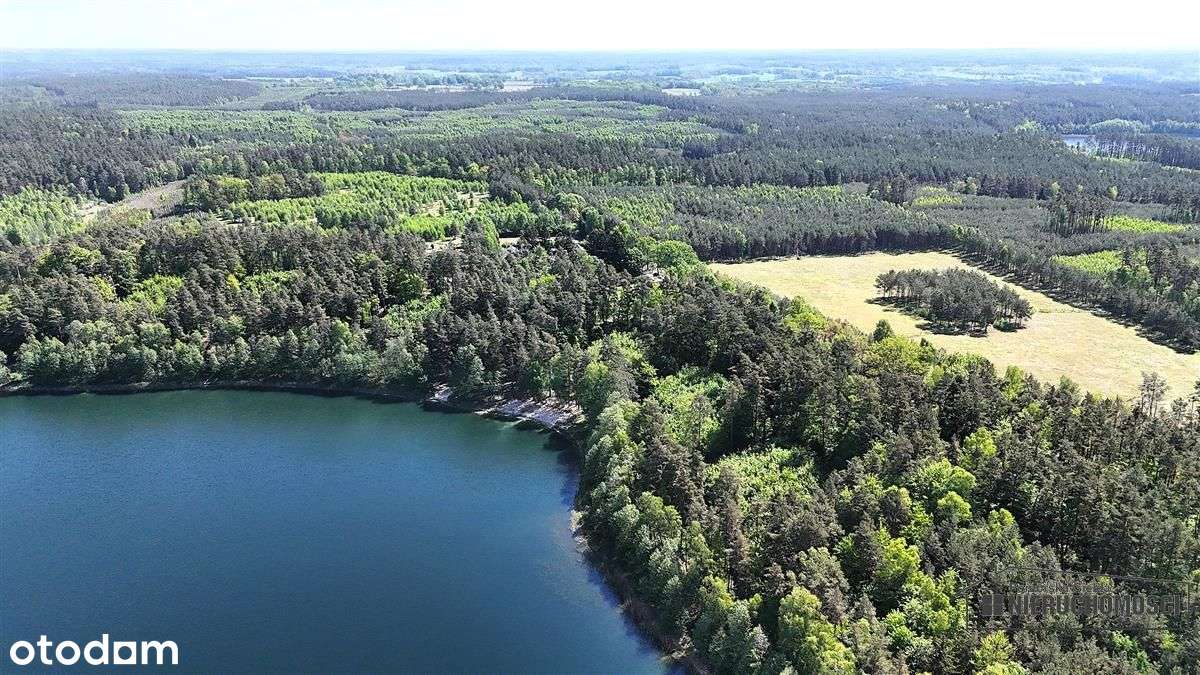 Okole - Grunt siedliskowy w otoczeniu lasu ok. 100-6