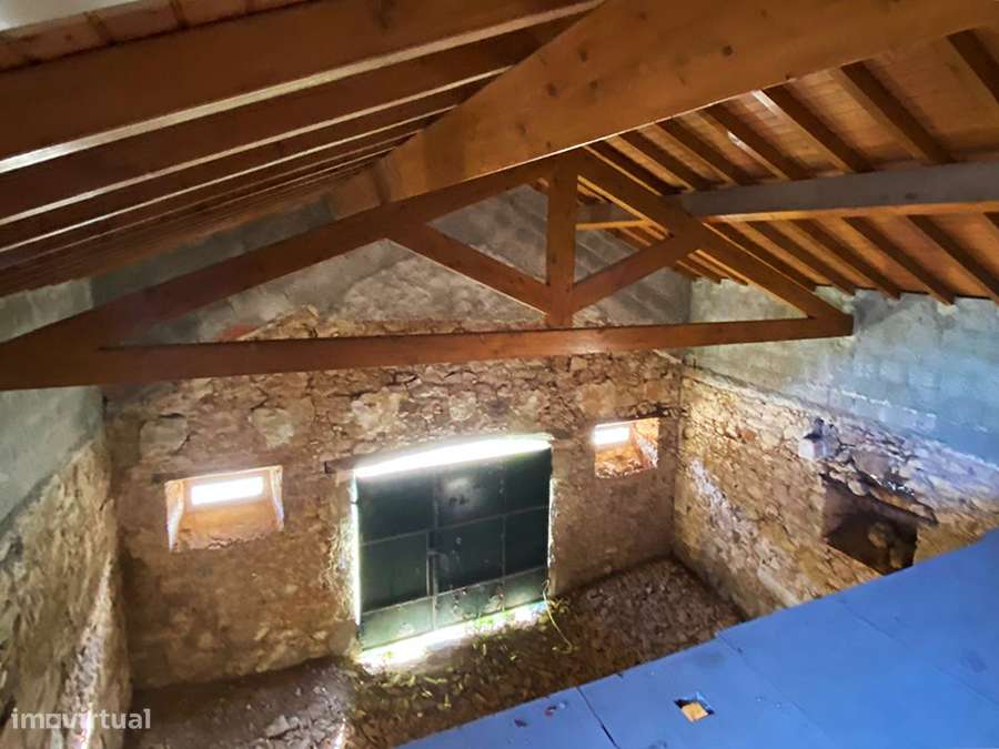 Adega e anexos para recuperar, com logradouro, a 10 min de C da Rainha-5