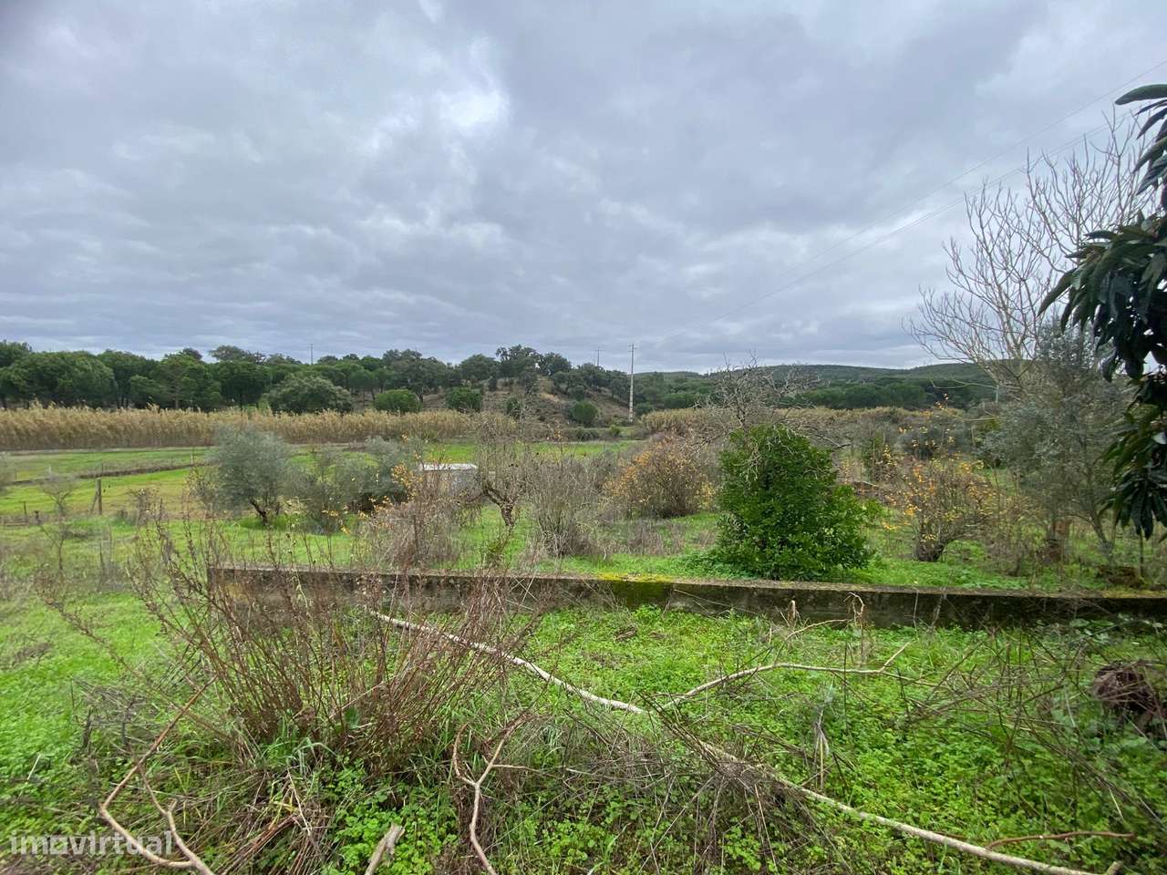 Moardai T2 para remodelar com 2500m2 terreno-22