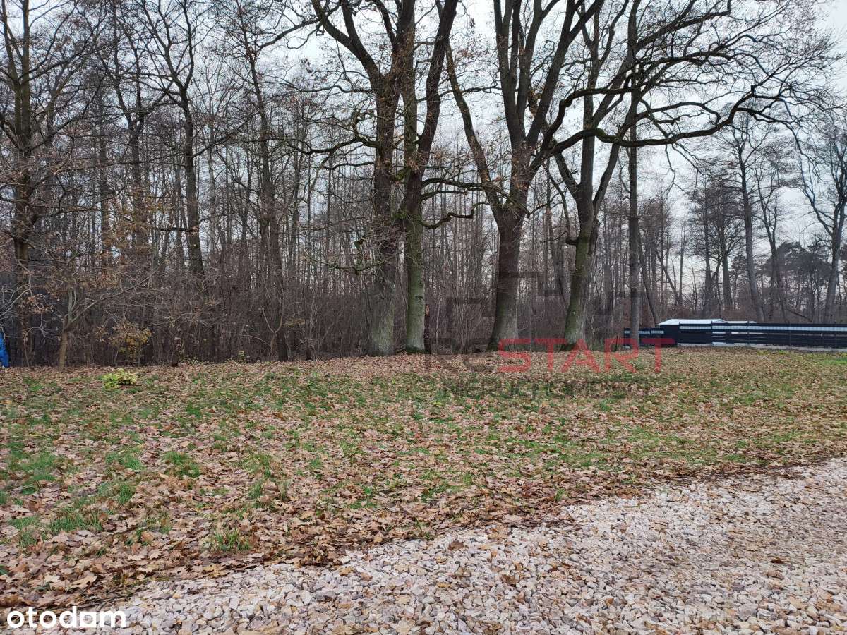 Na kemping lub domek letniskowy - Pełny obrazek: 5/13