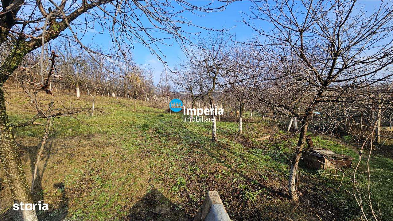 Teren intravilan 2.700 mp in Iasi – Bucium, zona Hill Center-2