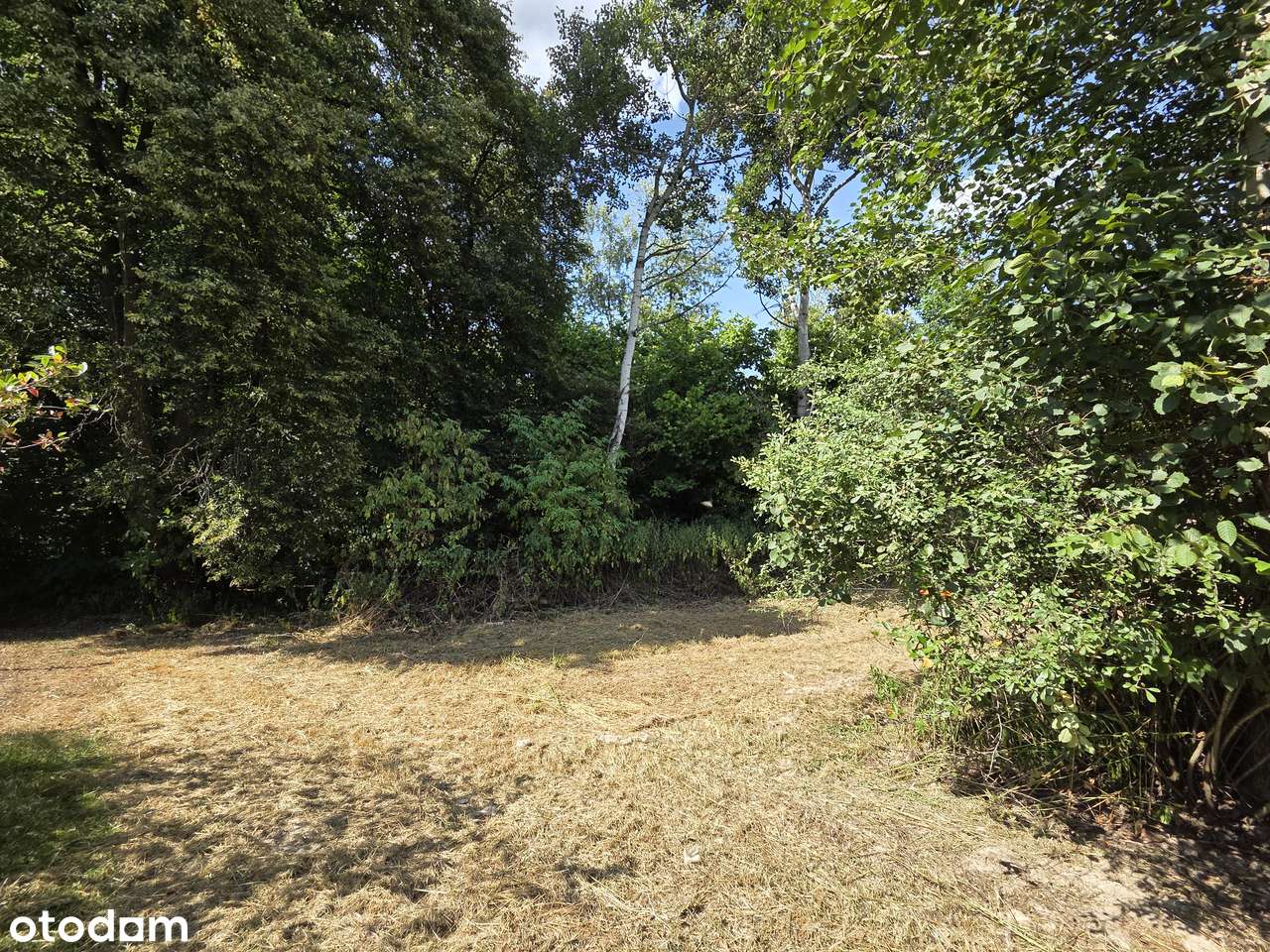 Atrakcyjna, uzbrojona działka pod budowę domu z prywatnym lasem-13