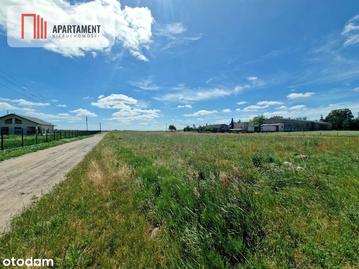 Tylko u Nas! Działki pod Bydgoszczą blisko S5! - Pełny obrazek: 4/8