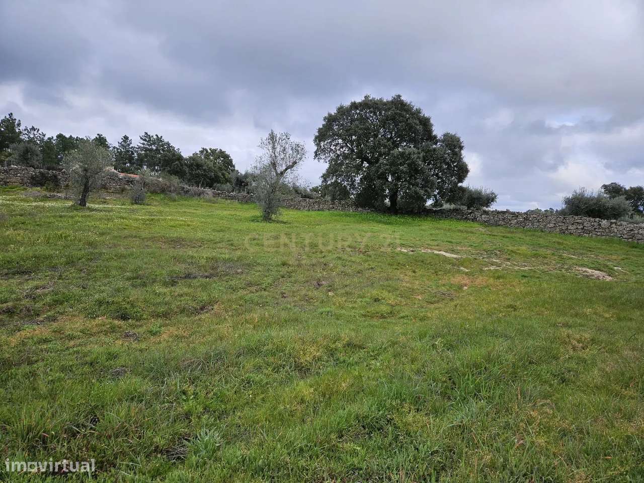 Quintinha na Lousa, Castelo Branco - Grande imagem: 3/41