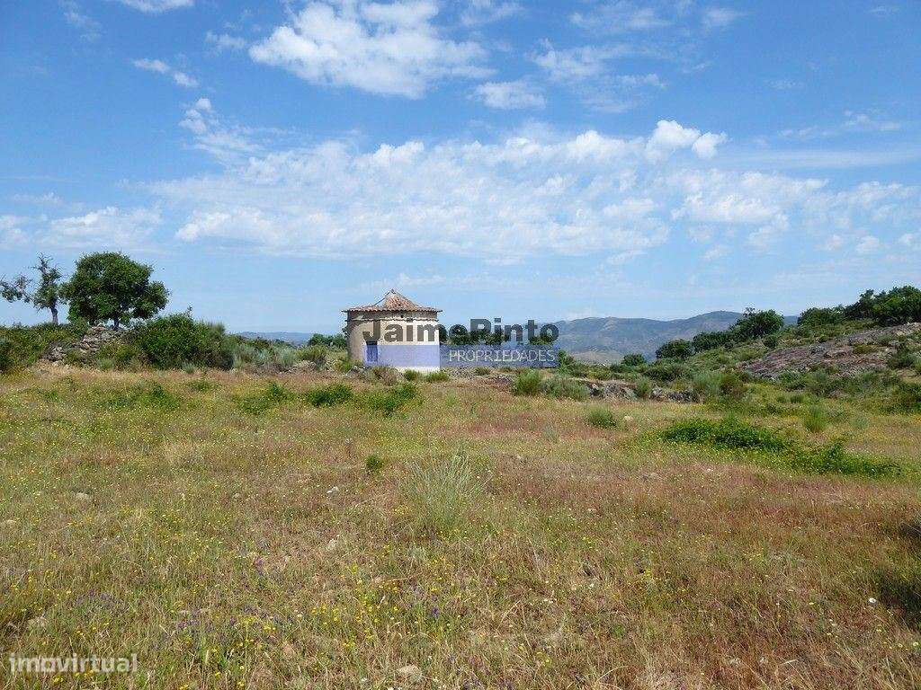 250 000 m2 agrícolas e casas em ruínas. Portugal, F. C. Rodrigo - Grande imagem: 4/9