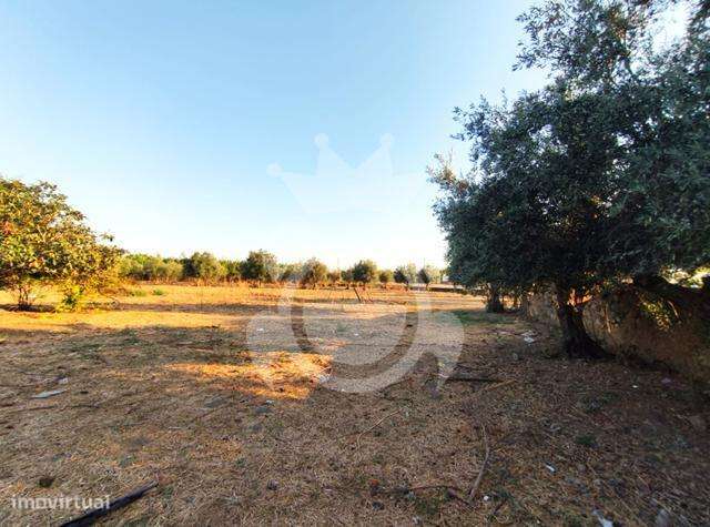 Quintinha aldeia da Caridade-9