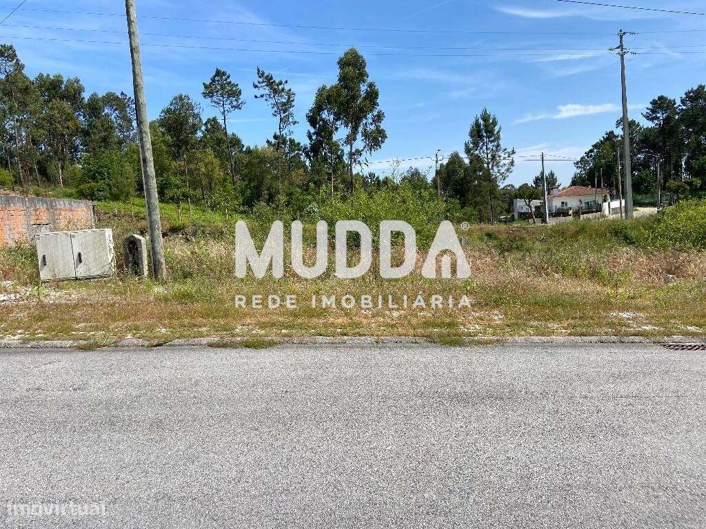 Loteamento em Oliveira de Azeméis, Fajões - Grande imagem: 3/8