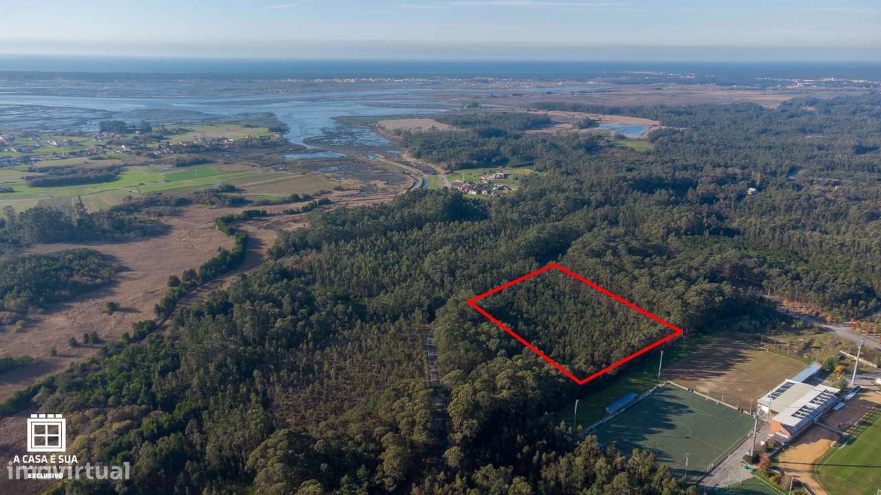 Terreno rústico com 17.800 m² em Avanca - Exclusivo - Grande imagem: 4/14