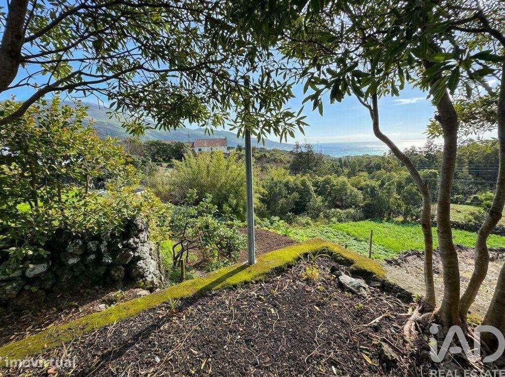 Casa / Villa T1 em Lajes do Pico de 84 m2 - Grande imagem: 4/24