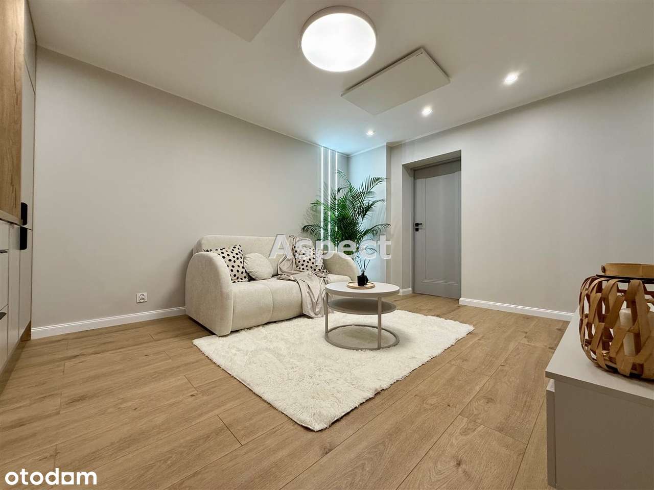 Prestiżowe 3 pokoje Zabrze, Centrum - Pełny obrazek: 4/14