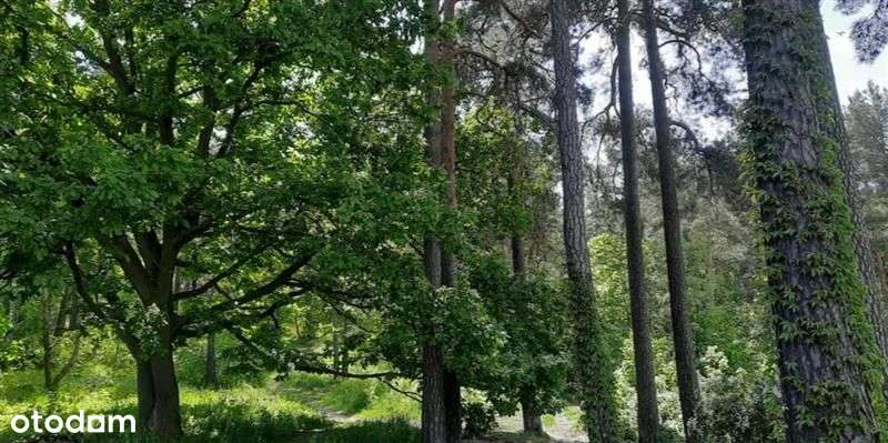 Wyjątkowa działka z widokiem na morze w Gdyni – ci-4