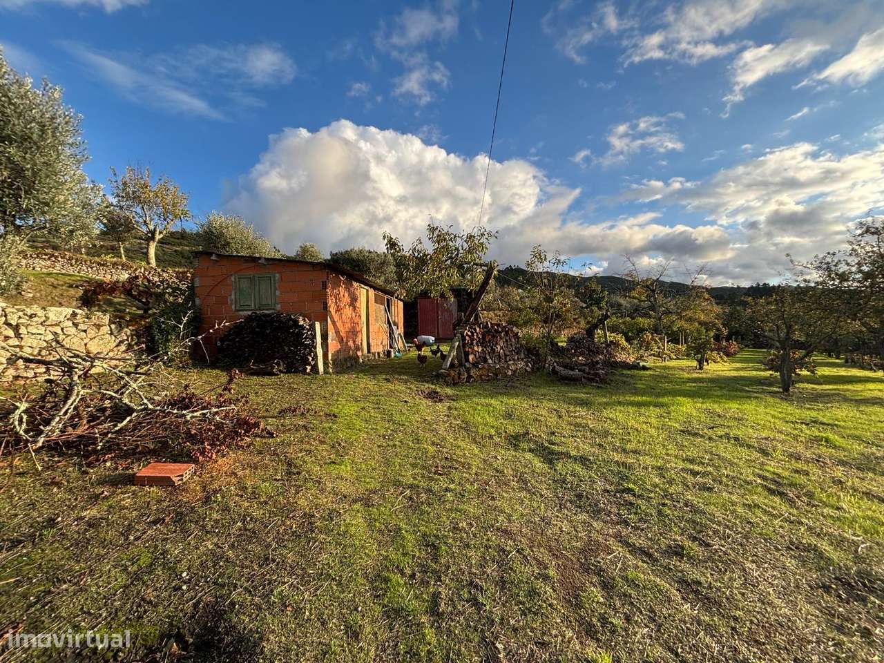 Quinta T3 Venda em Santa Marinha e São Martinho,Seia-19