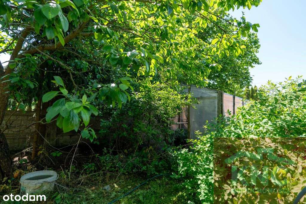 Dom w cenie kawalerki, działka 1943 m2-12