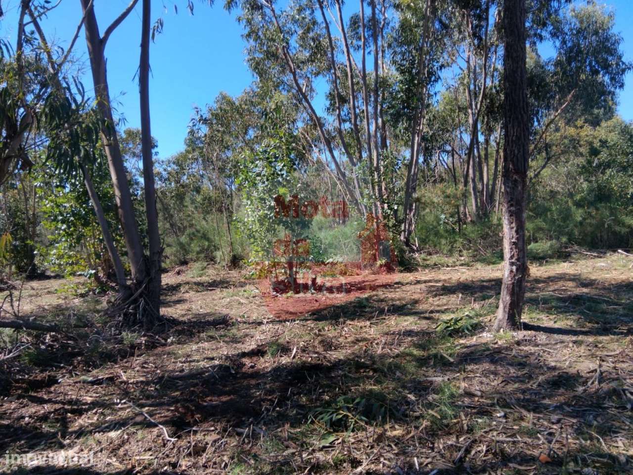 Excelente Terreno em Melides, Grândola - Grande imagem: 2/13