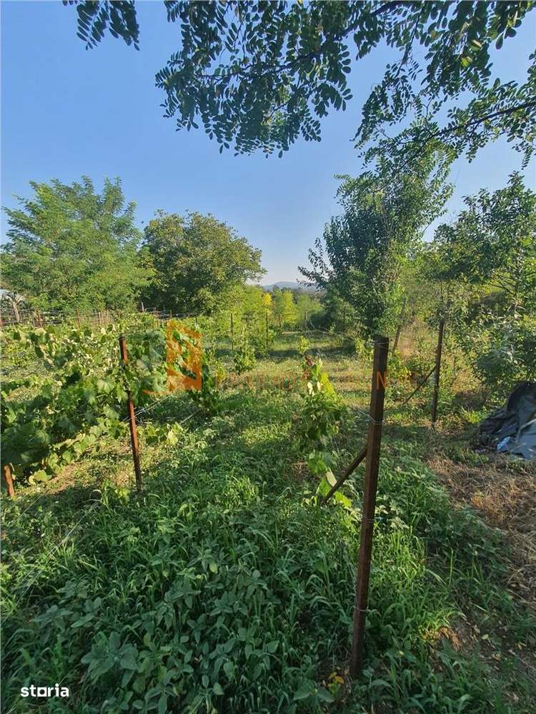 Exclusivitate! Teren intravilan zona Beceni - Imagine principală: 3/9