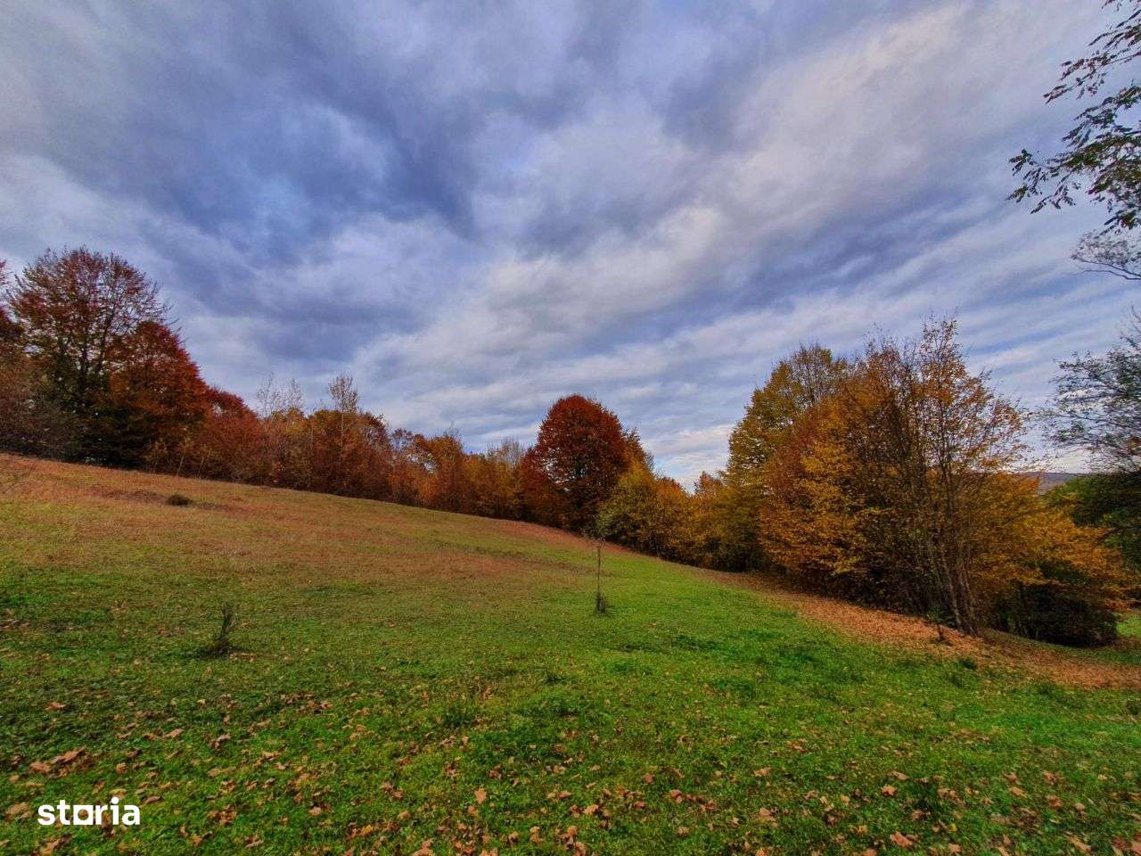 Puciosa Moreni Valea Lunga Sat Izvoru 20000mp teren de vanzare - Imagine principală: 1/20