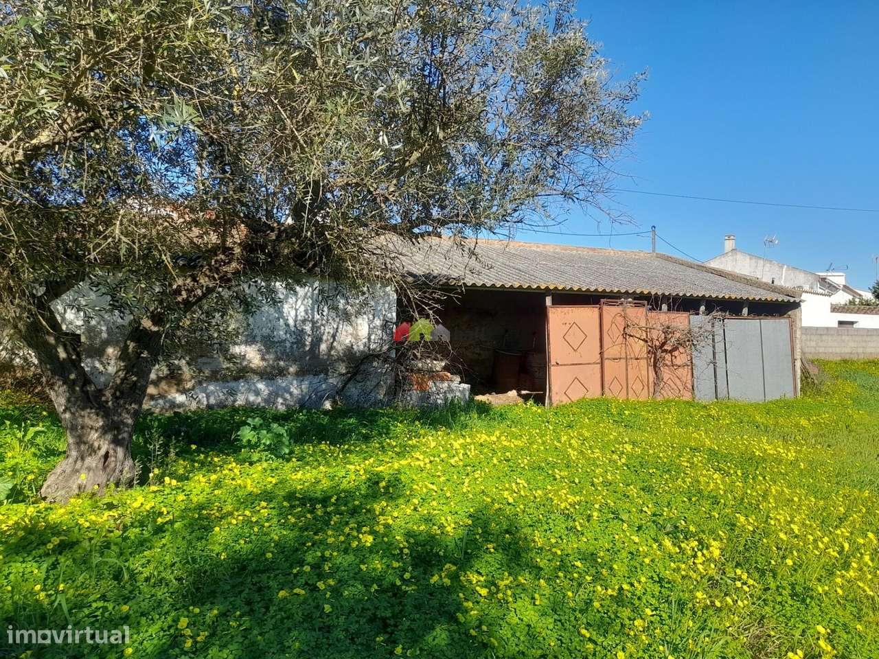 Qta Pedrogão com viabilidade de construção habitação-5