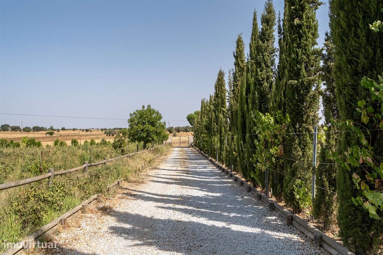 Quinta Biológica - Monte de Palma em Sao Manços com negócio.-39