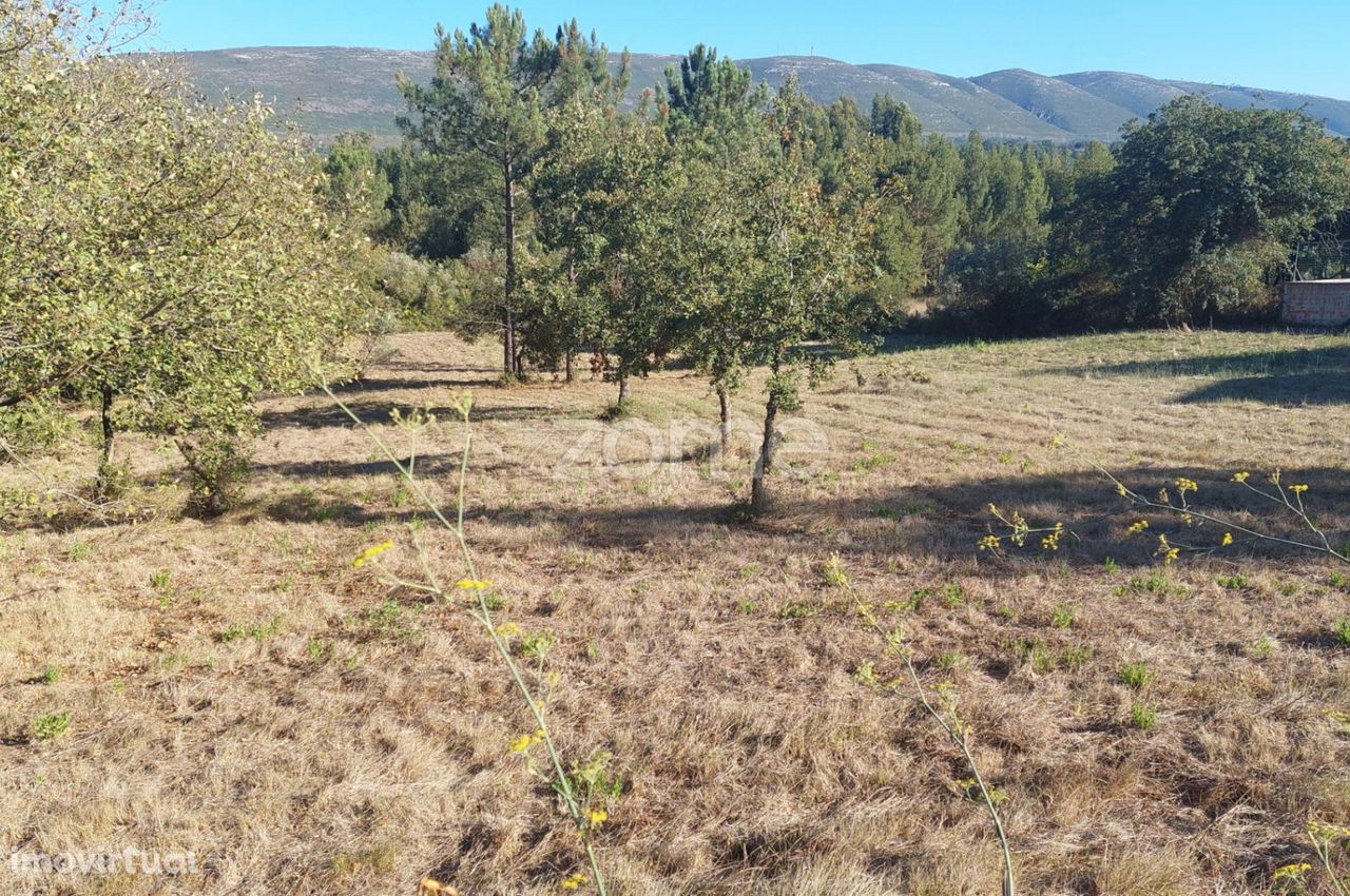 Terreno para construção com 7080 m2 na Cumeira de Cima, Juncal