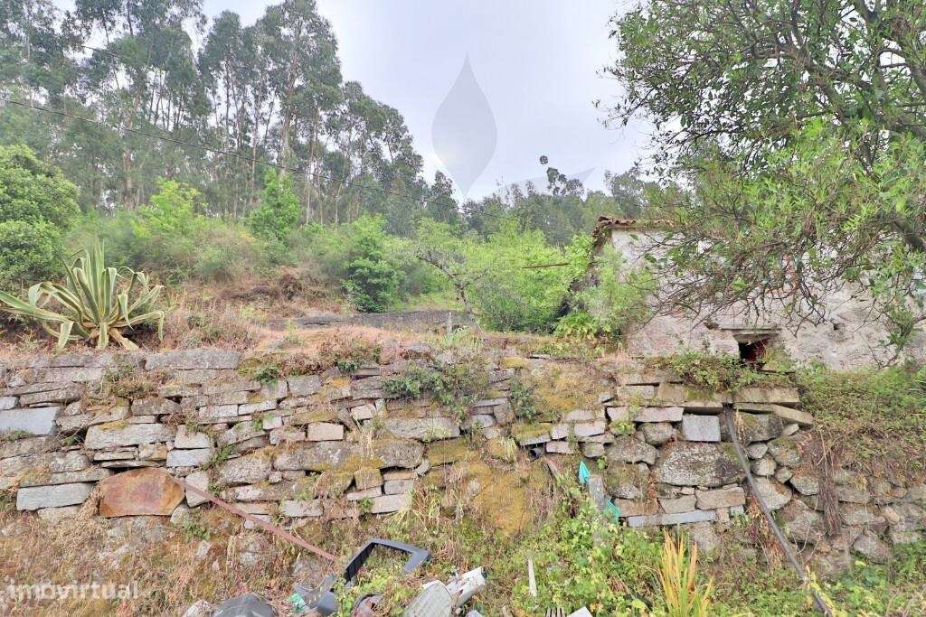 Duas Moradias em Escudeiros c/ aprox. 3.200m2 de terreno-9