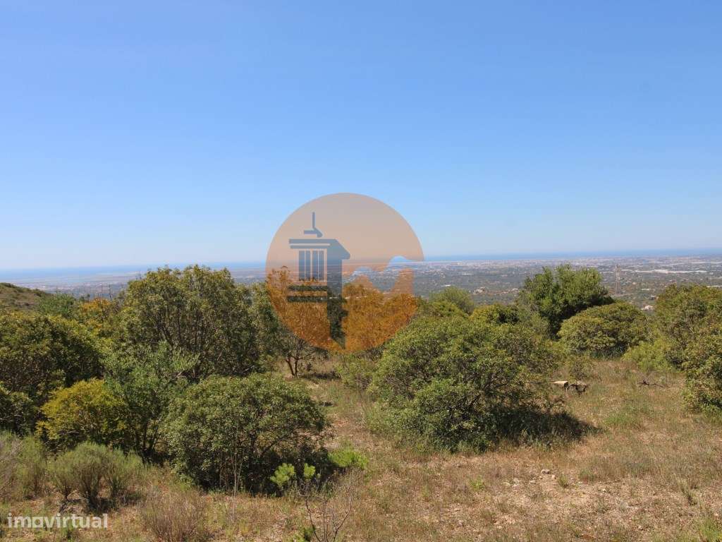 Terreno Rústico - Grande imagem: 4/14