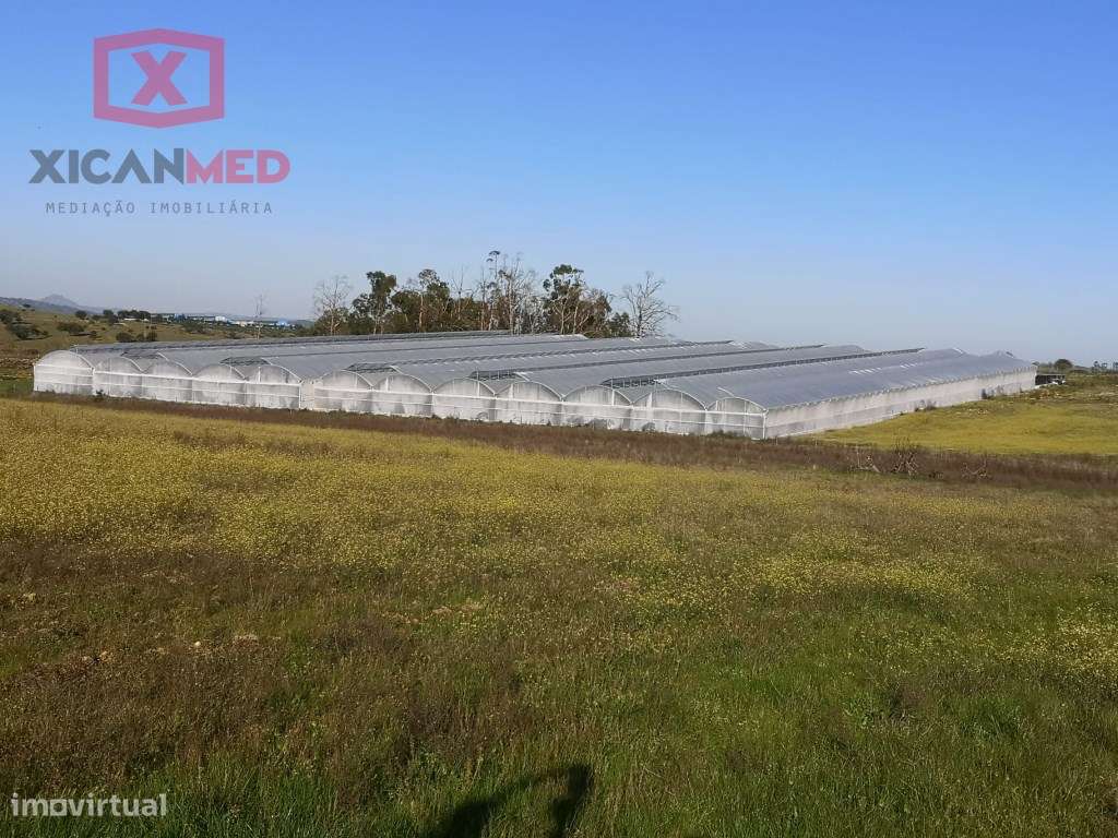 Quinta Agrícola - Grande imagem: 5/59