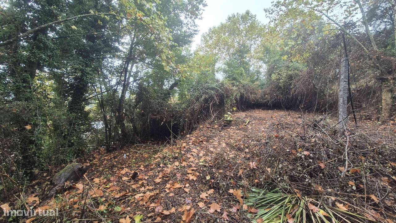 Artigo URBANO- 160 m2 área bruta - 842 m2 terreno - Para recuperar - Grande imagem: 5/9