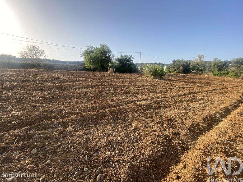 Terreno em Santa Bárbara de Nexe de 2450,00 m2 - Grande imagem: 3/13